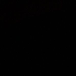 Meet your Posher, Kassandra